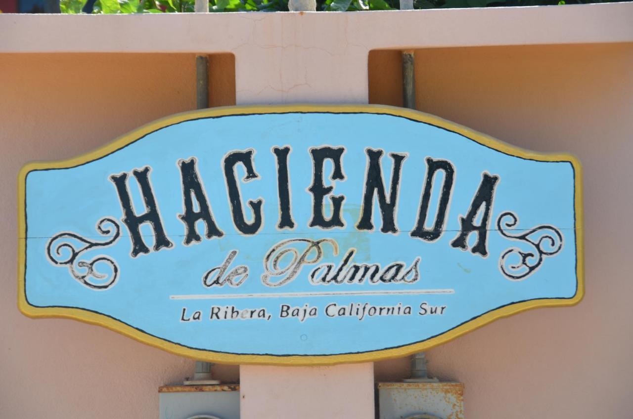 Hacienda De Palmas Bed & Breakfast La Ribera Exterior photo