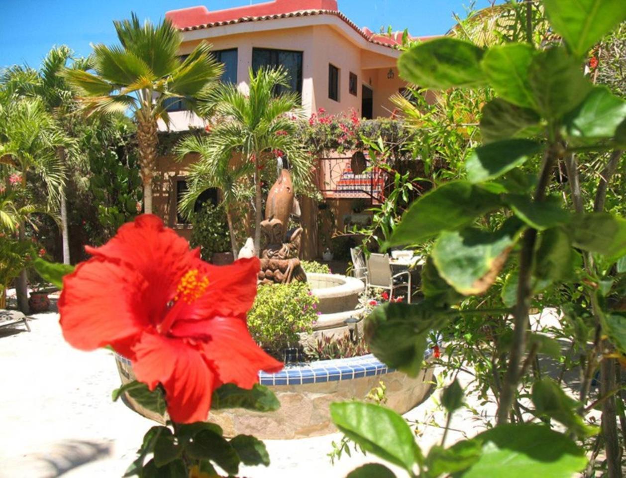 Hacienda De Palmas Bed & Breakfast La Ribera Exterior photo